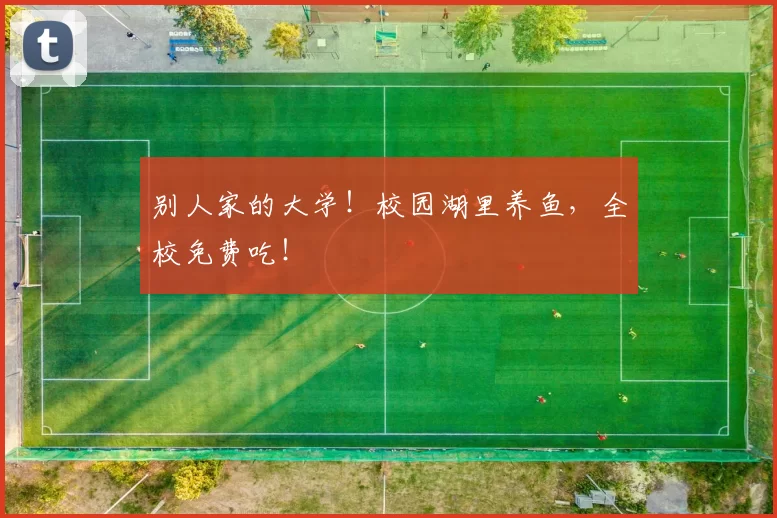 别人家的大学!校园湖里养鱼,全校免费吃!