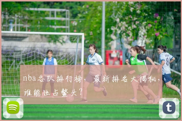 nba各队排行榜,最新排名大揭秘,谁能独占鳌头?