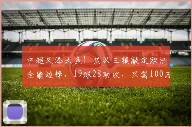 中超又添大鱼！武汉三镇敲定欧洲全能边锋，19球28助攻，只需100万欧_维斯_拉德尼基_球员