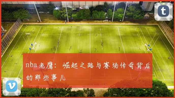 nba老鹰：崛起之路与赛场传奇背后的那些事儿