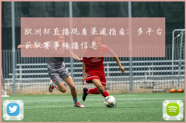 欧洲杯直播观看渠道指南：多平台获取赛事转播信息