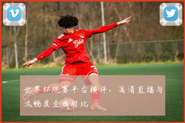 世界杯观赛平台横评,高清直播与流畅度全面对比